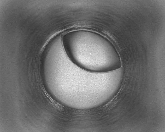 X0000052631115200507011026