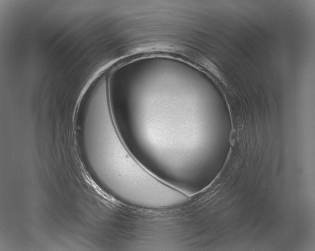 X0000052631116200507011026