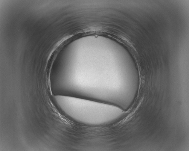 X0000052631117200507011026