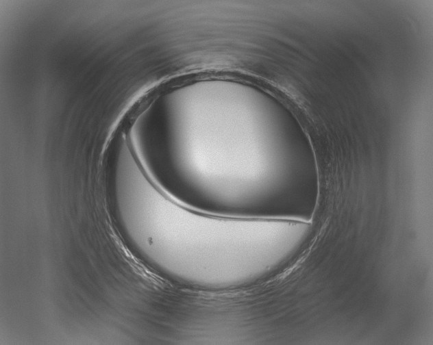X0000052631118200507011026