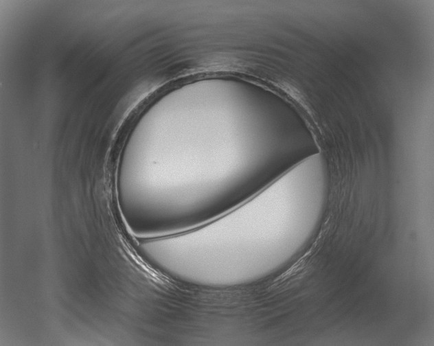 X0000052631119200507011026