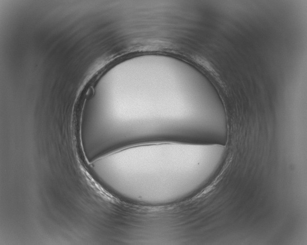 X0000052631122200507011026