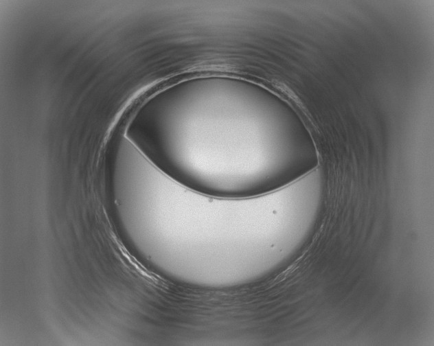 X0000052631123200507011026