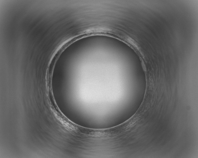 X0000052631124200507011026
