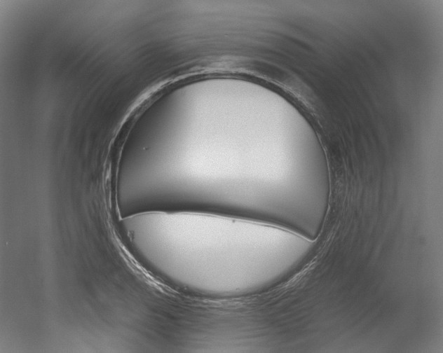 X0000052631126200507011026