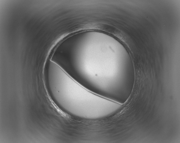 X0000052631127200507011026