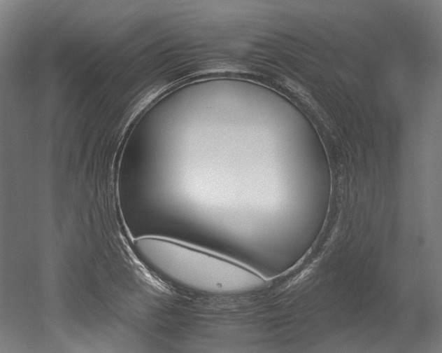 X0000052631129200507011027