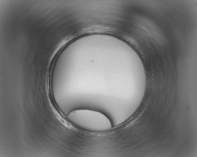 X0000052631130200507011027