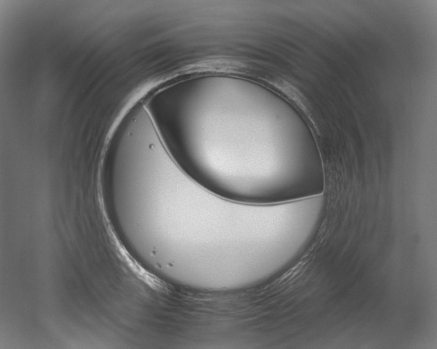 X0000052631131200507011027