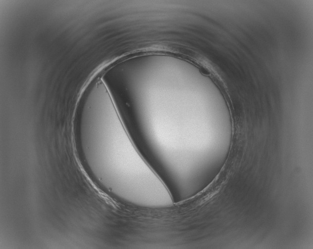X0000052631133200507011027