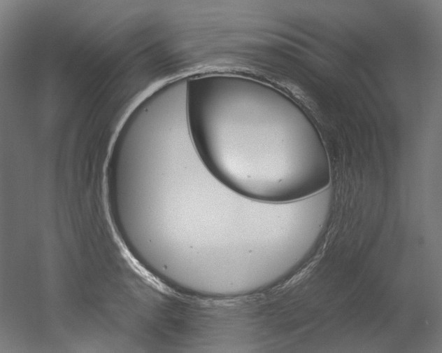 X0000052631134200507011027