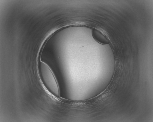 X0000052631135200507011027