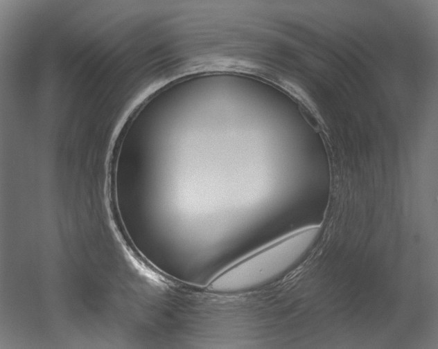 X0000052631136200507011027