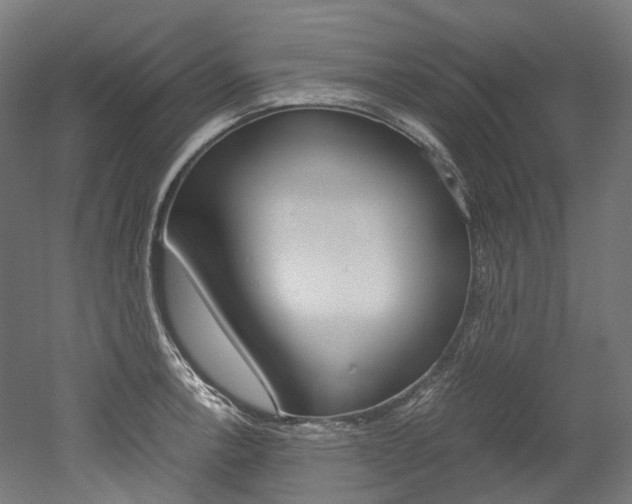 X0000052631138200507011027
