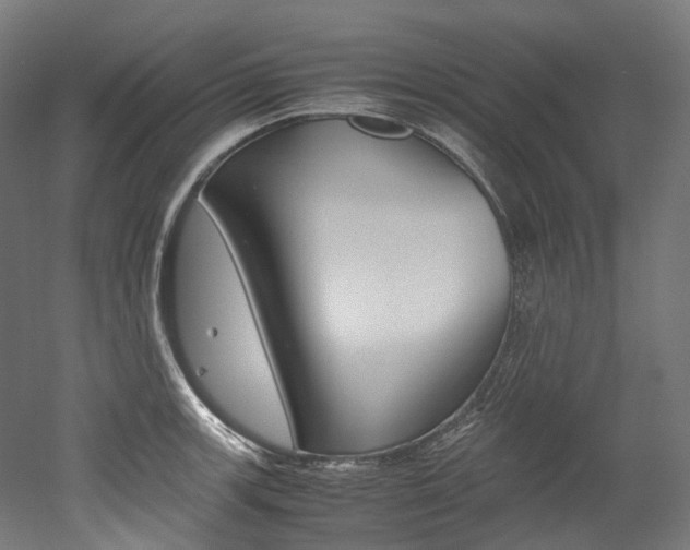 X0000052631139200507011027