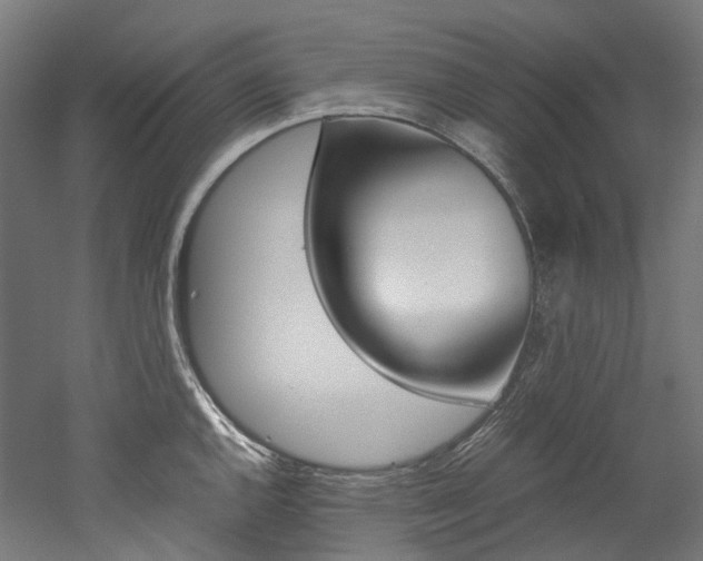 X0000052631144200507011027