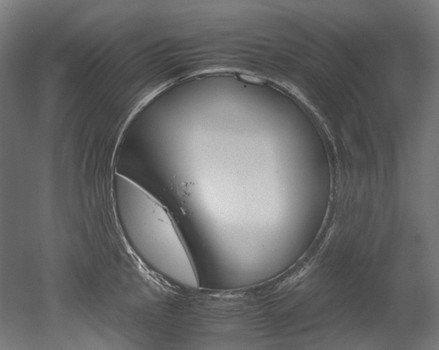 X0000052631145200507011027
