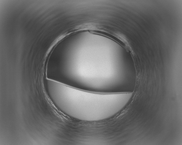 X0000052631146200507011027