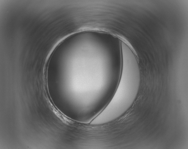X0000052631148200507011027