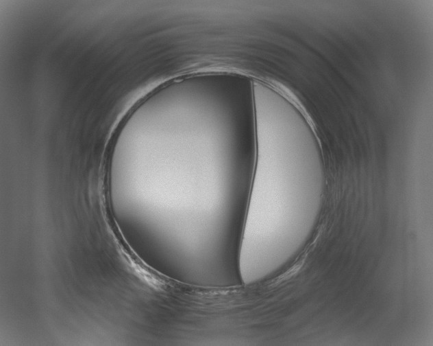 X0000052631149200507011027