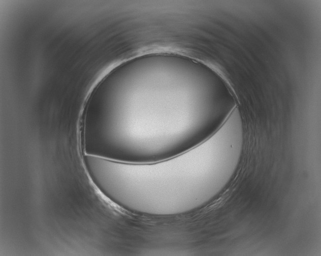 X0000052631151200507011027