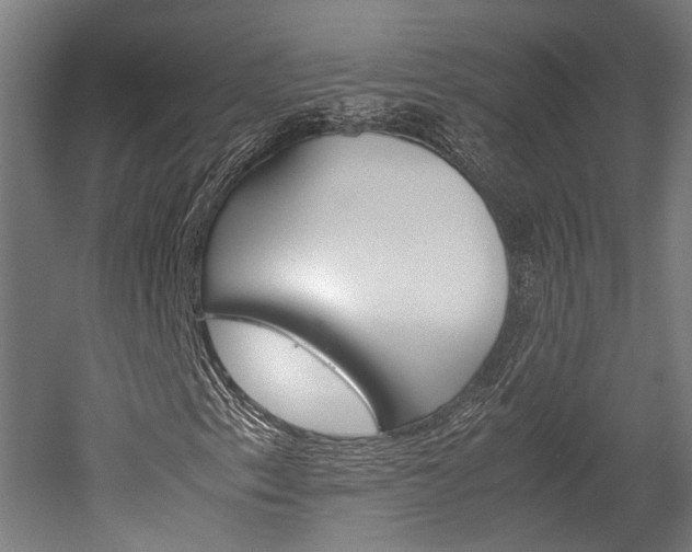 X0000052631153200507011026