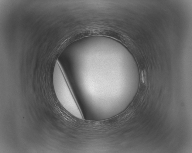 X0000052631155200507011026
