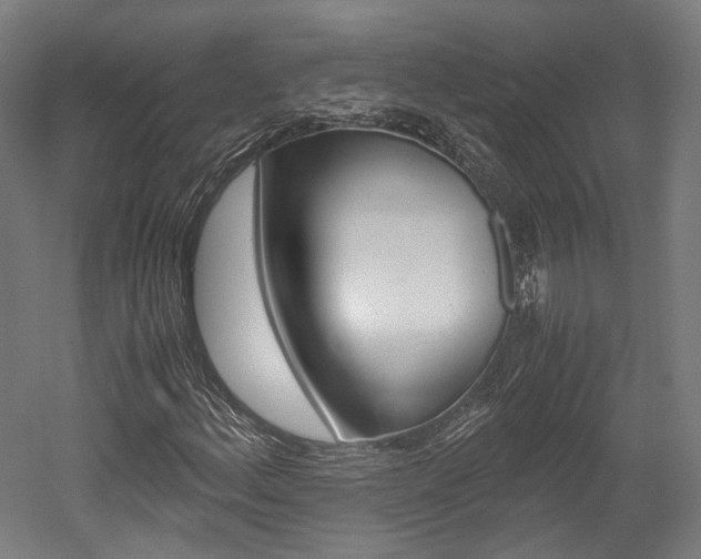 X0000052631156200507011026