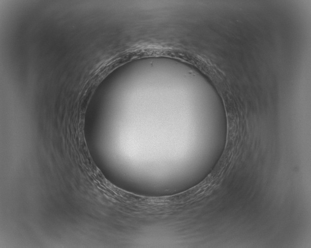 X0000052631157200507011026