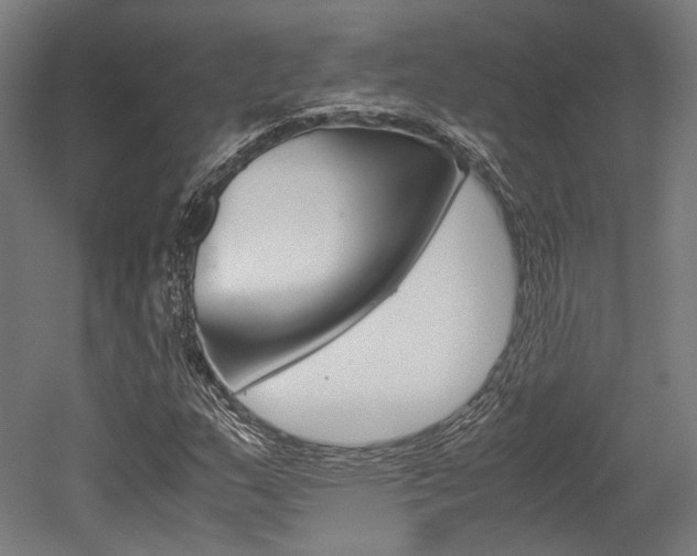 X0000052631159200507011026