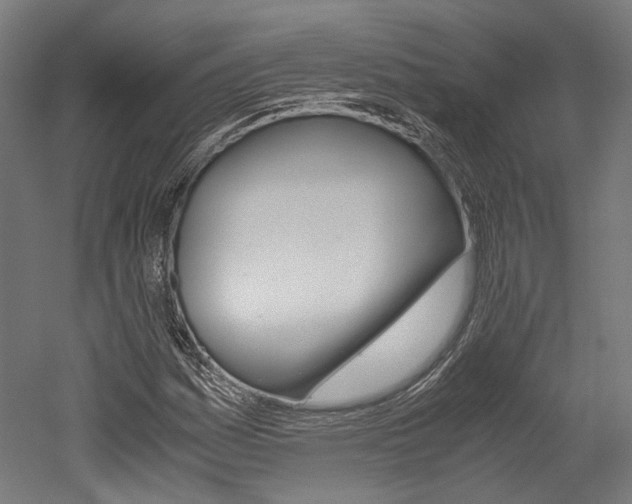 X0000052631161200507011026