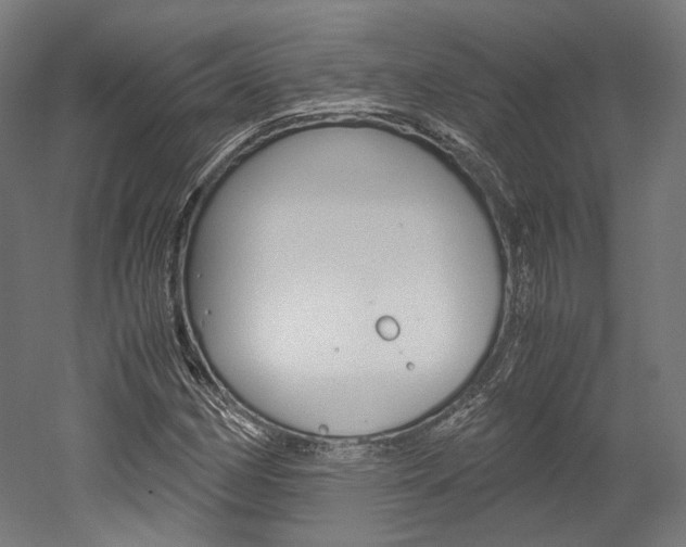 X0000052631162200507011026