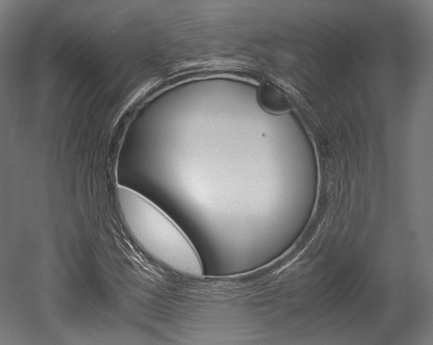 X0000052631163200507011026