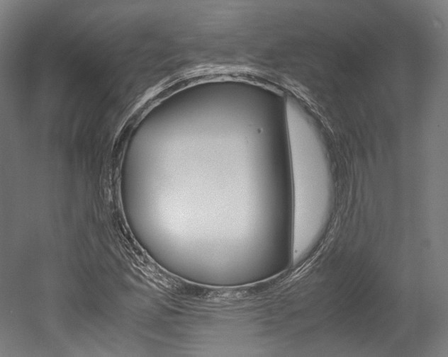X0000052631165200507011026
