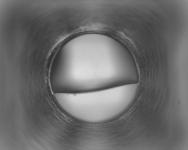 X0000052631166200507011026