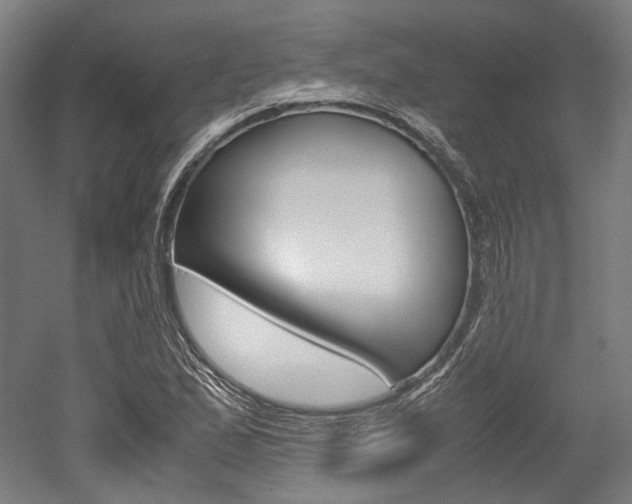 X0000052631167200507011026