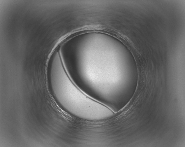 X0000052631168200507011026