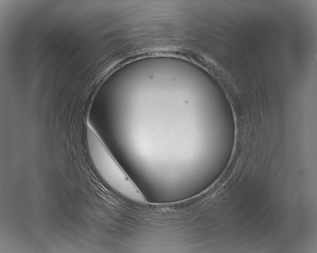X0000052631169200507011026