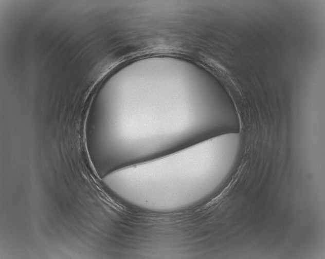 X0000052631170200507011026