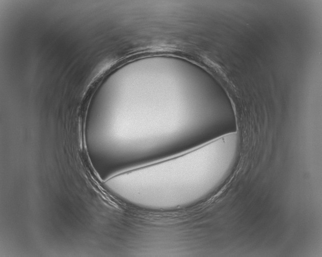 X0000052631171200507011026