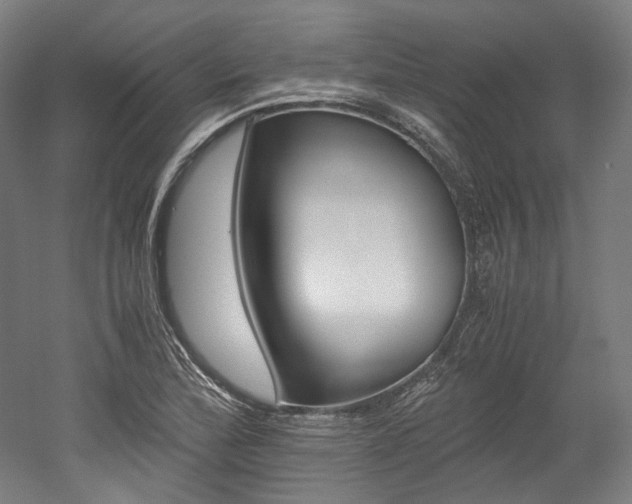X0000052631172200507011026