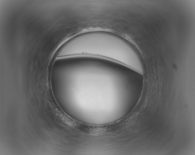 X0000052631173200507011026