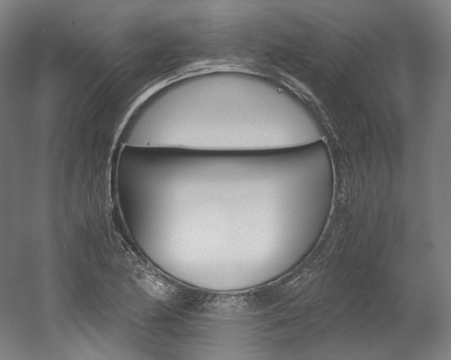 X0000052631174200507011026
