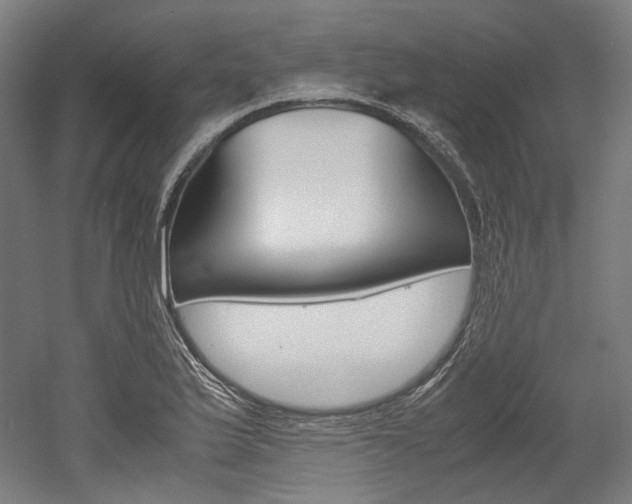 X0000052631175200507011026