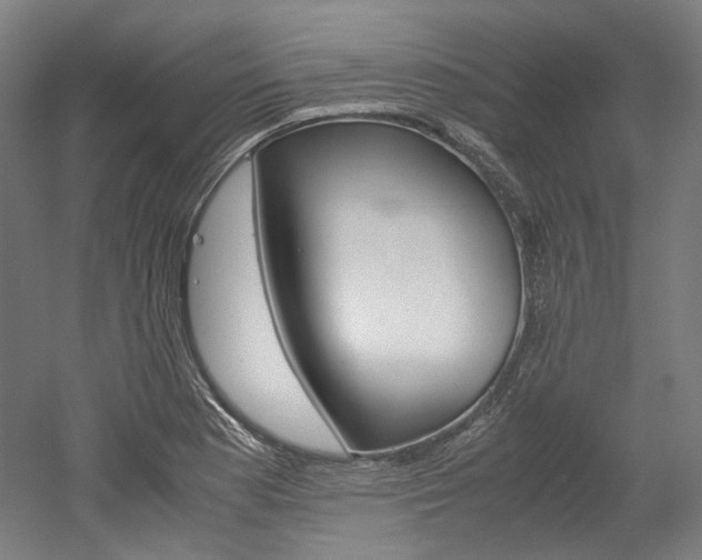X0000052631177200507011026