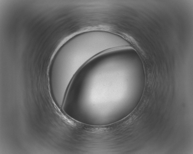 X0000052631184200507011026
