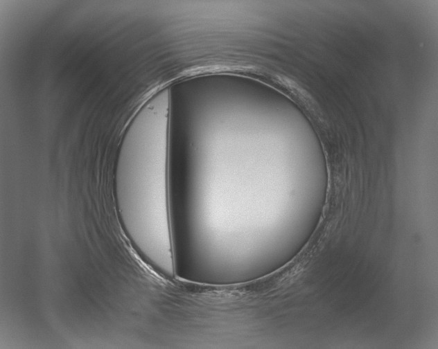 X0000052631185200507011026