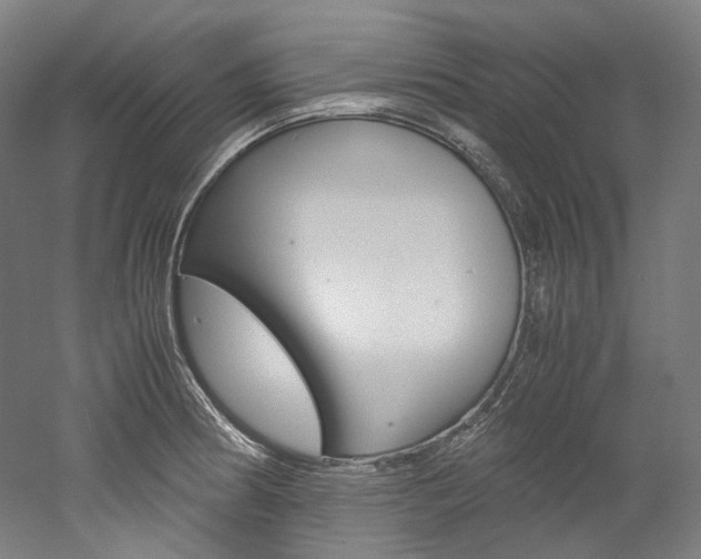 X0000052631186200507011026