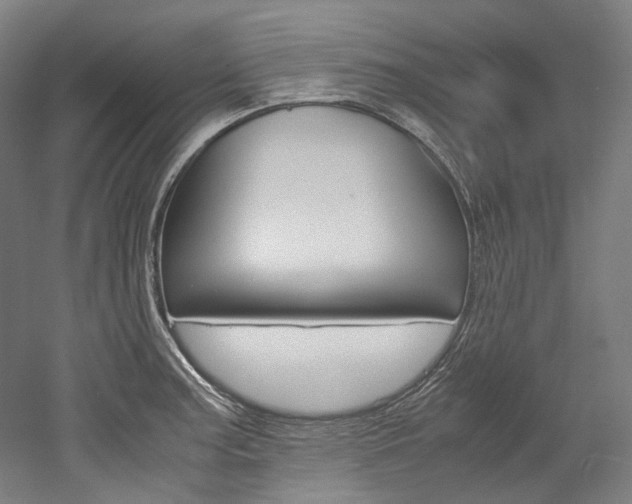 X0000052631187200507011026