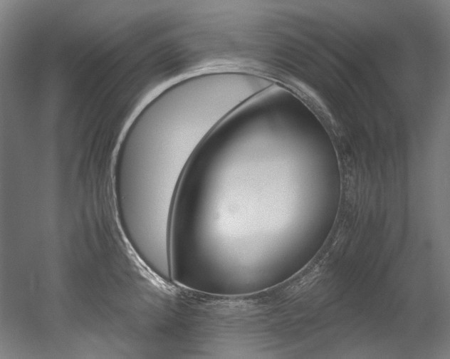 X0000052631192200507011025